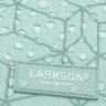 Mochila Larkson para Mujer Mint Portátil Logo